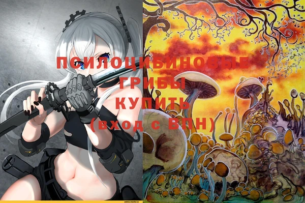 не бодяженный Арсеньев