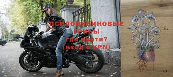не бодяженный Арсеньев