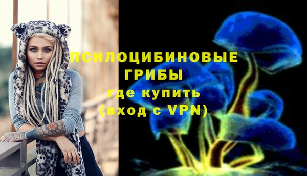 не бодяженный Арсеньев